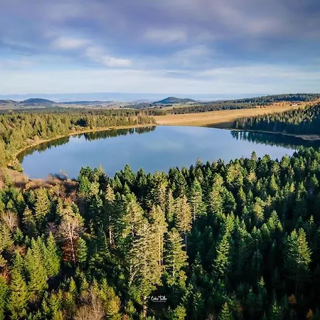 Avenue Republique La Aux Pieds Des Volcans Au Calme 克莱蒙费朗