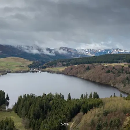 Avenue Republique La Aux Pieds Des Volcans Au Calme *