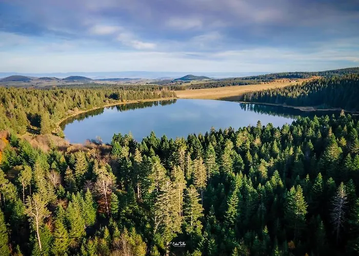 Avenue Republique La Aux Pieds Des Volcans Au Calme Clermont-Ferrand