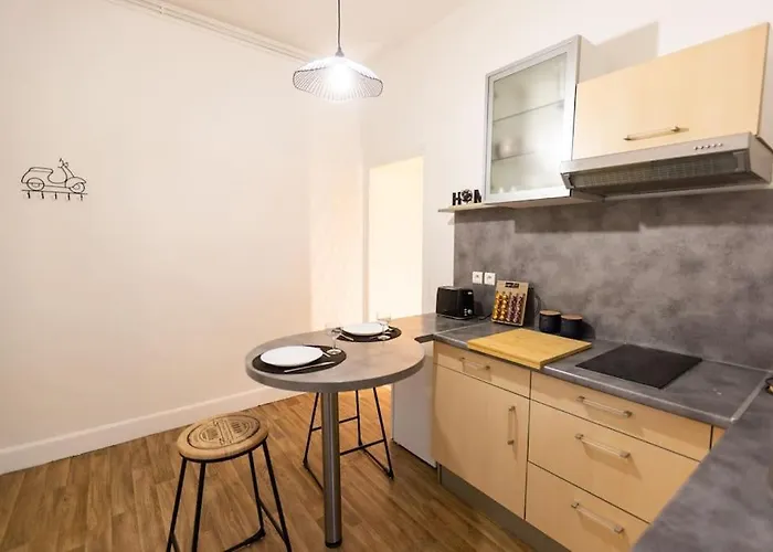 公寓 Avenue Republique La Aux Pieds Des Volcans Au Calme 克莱蒙费朗