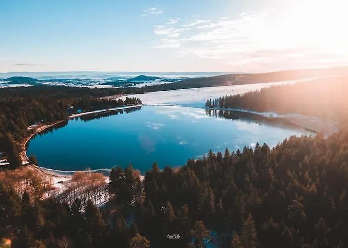 Avenue Republique La Aux Pieds Des Volcans Au Calme *