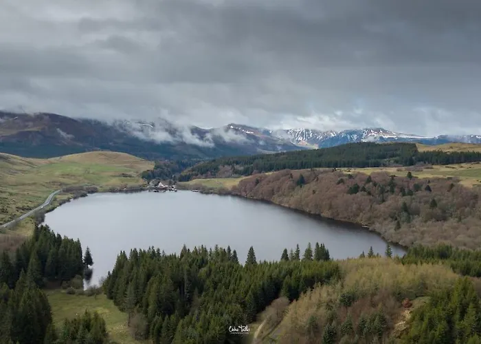 Avenue Republique La Aux Pieds Des Volcans Au Calme *